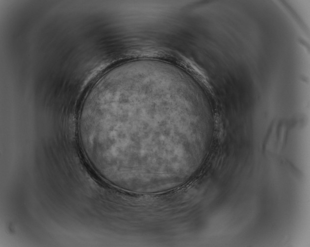 X0000091890012200709191226