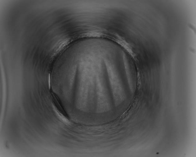 X0000091890013200709191226