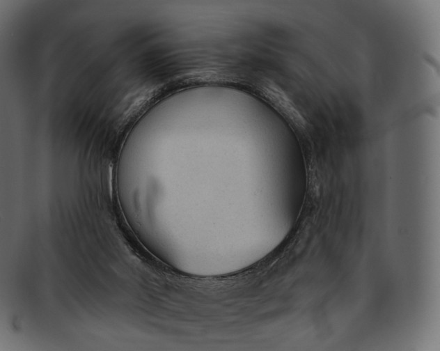 X0000091890014200709191226