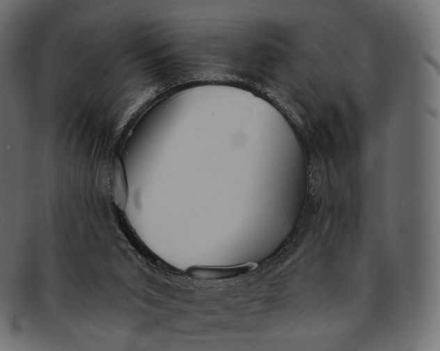 X0000091890015200709191226