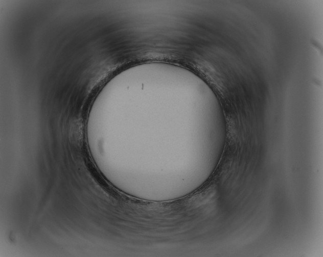 X0000091890016200709191226