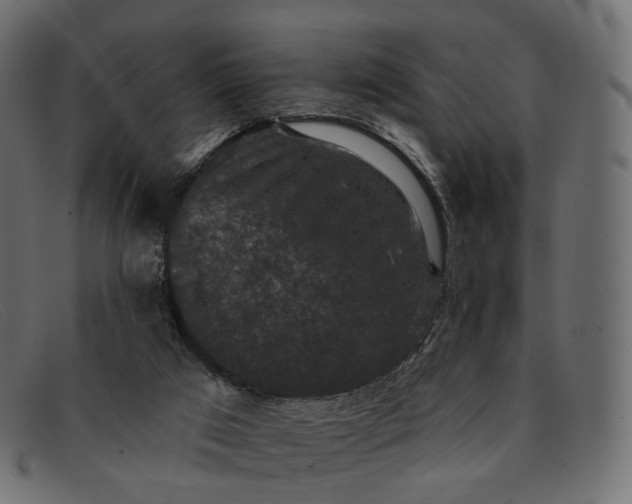 X0000091890017200709191226