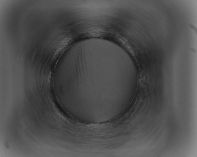 X0000091890018200709191226