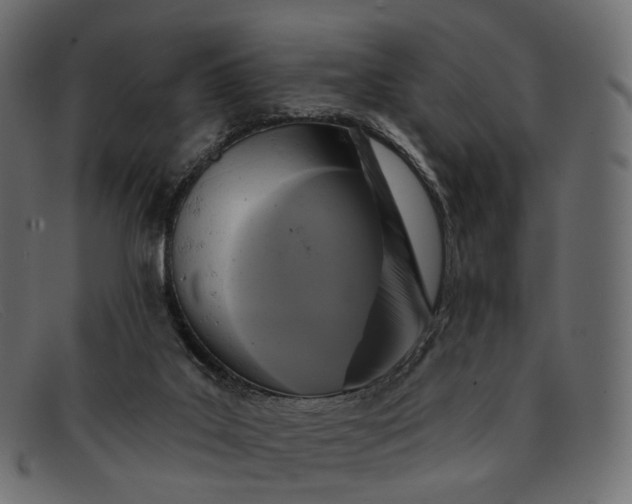 X0000091890019200709191226