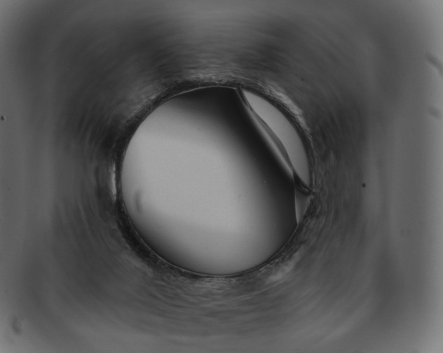 X0000091890020200709191226