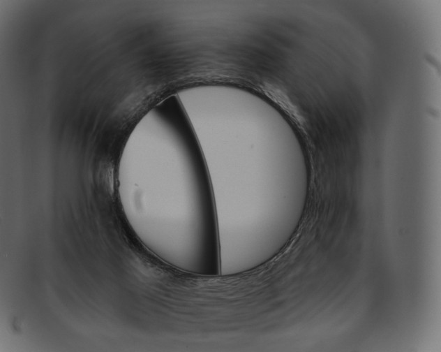 X0000091890021200709191226