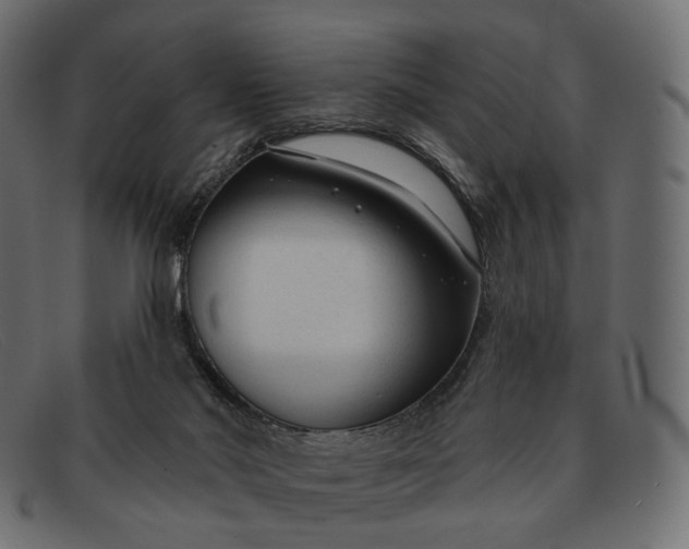 X0000091890022200709191226