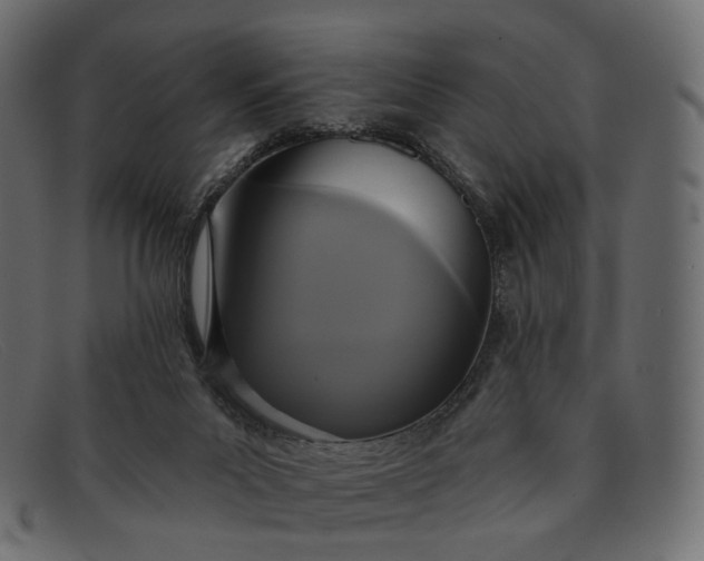 X0000091890023200709191226