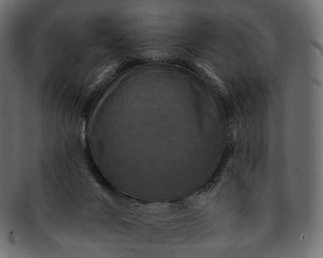 X0000091890024200709191226