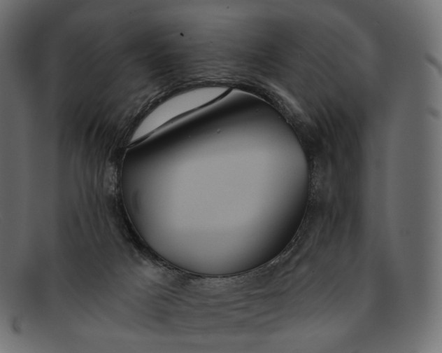 X0000091890025200709191226