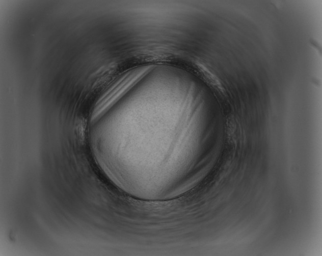 X0000091890026200709191226