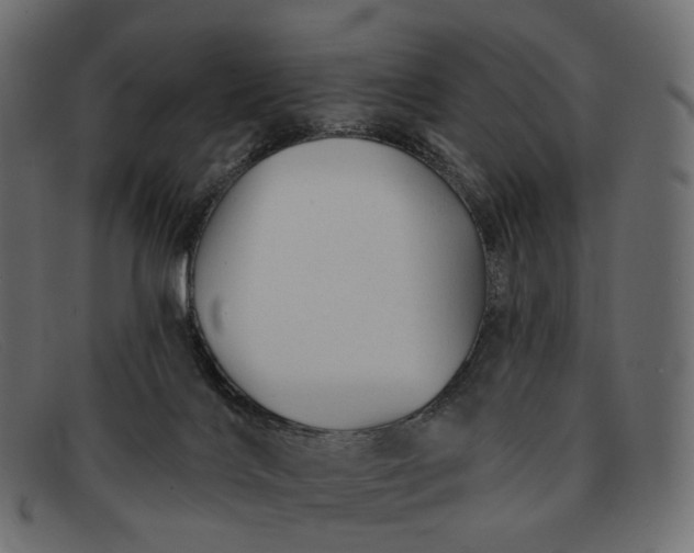 X0000091890028200709191226