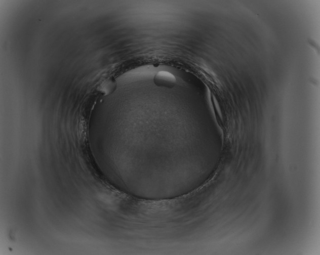 X0000091890029200709191226