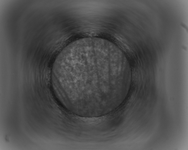 X0000091890030200709191226