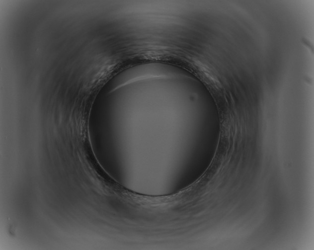 X0000091890031200709191226