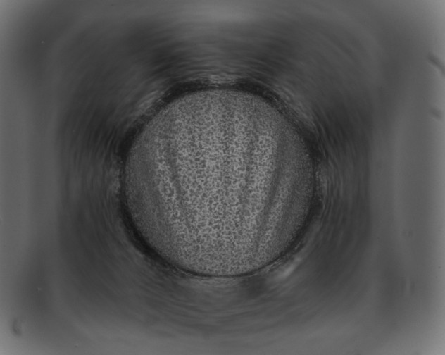 X0000091890032200709191226