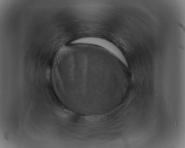 X0000091890033200709191226