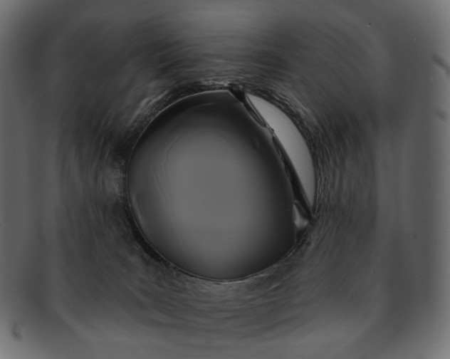 X0000091890035200709191226
