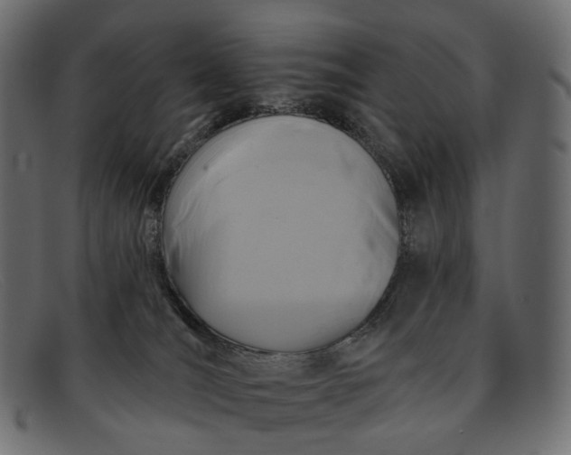 X0000091890036200709191226