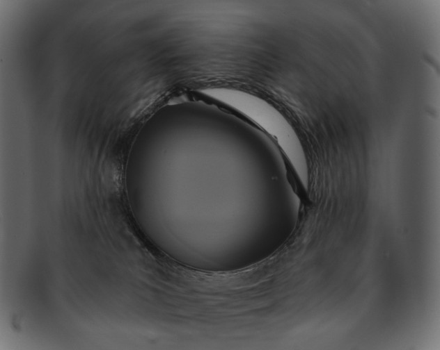 X0000091890039200709191226