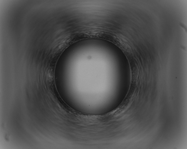 X0000091890040200709191226