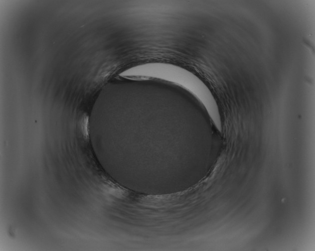 X0000091890041200709191226