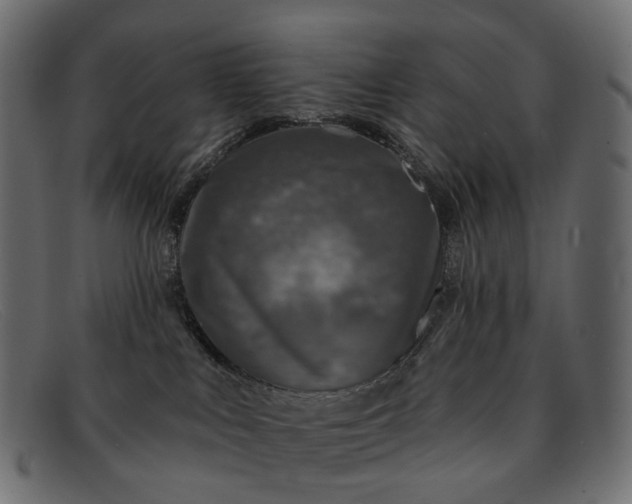 X0000091890043200709191226