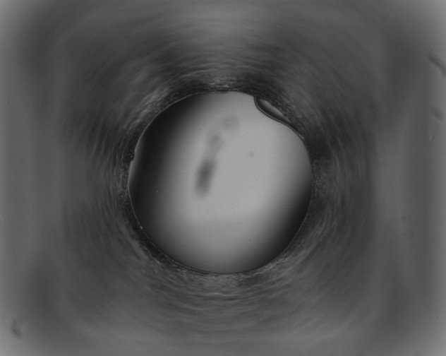 X0000091890044200709191226