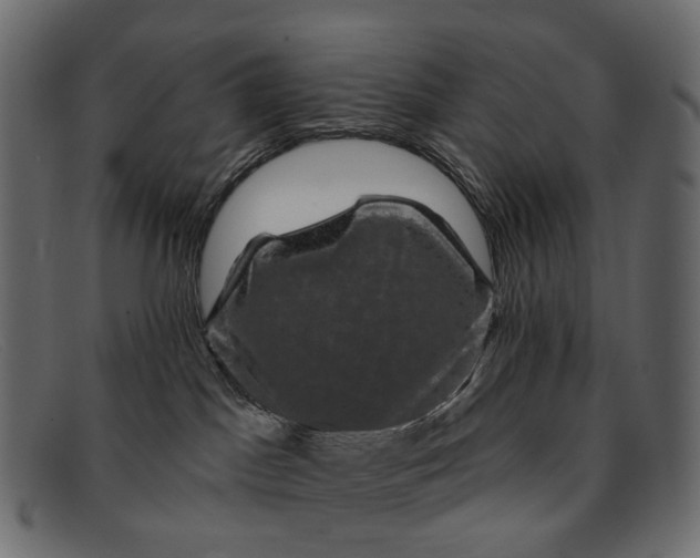 X0000091890045200709191226