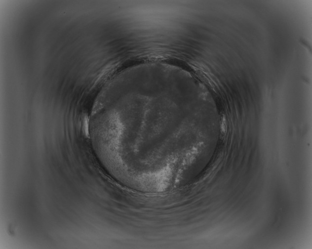 X0000091890046200709191226