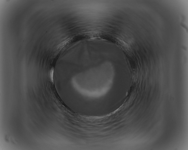 X0000091890047200709191226