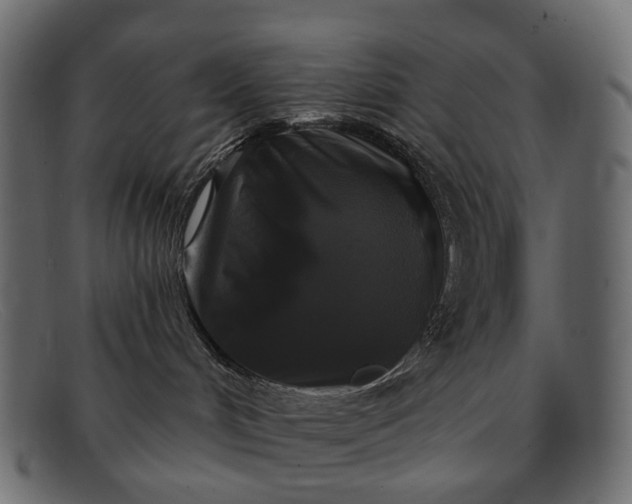 X0000091890048200709191226