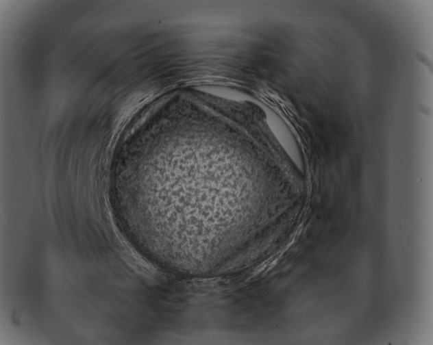 X0000091890049200709191225