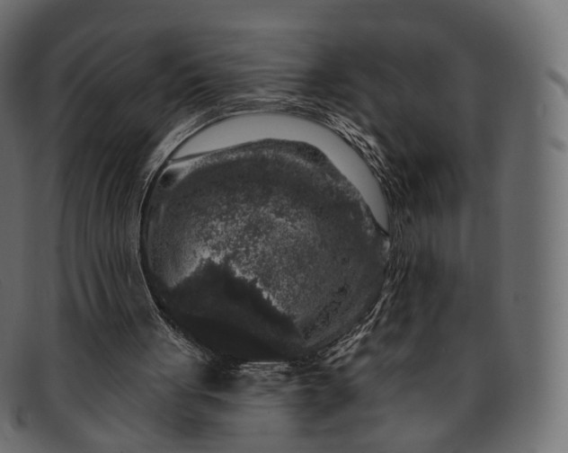 X0000091890051200709191225