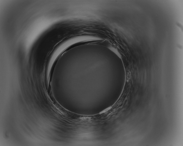 X0000091890052200709191225