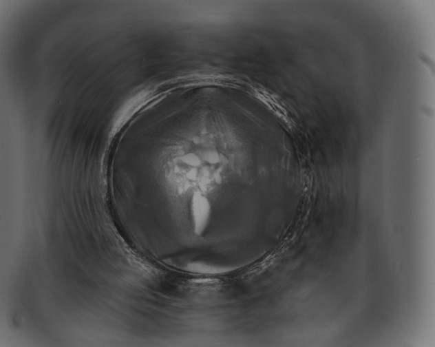 X0000091890053200709191225