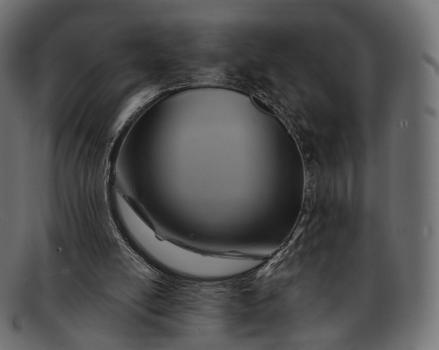 X0000091890054200709191225