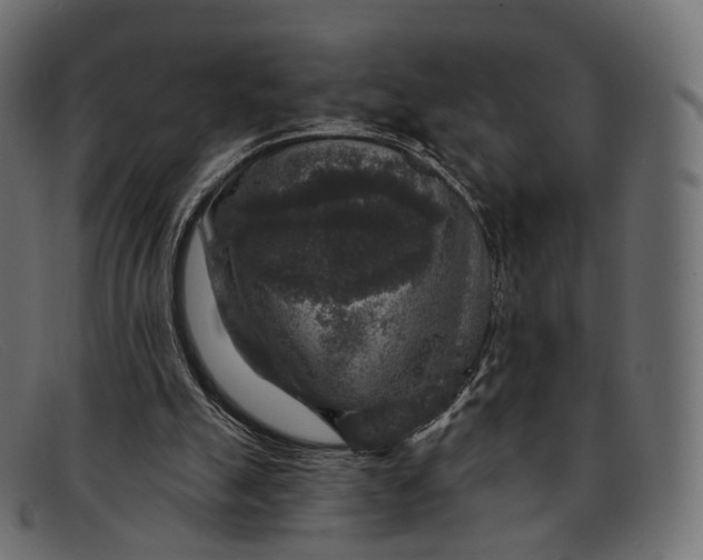 X0000091890055200709191225