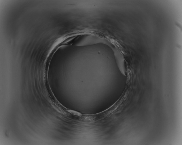 X0000091890056200709191225