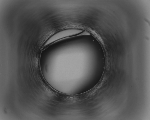 X0000091890057200709191225