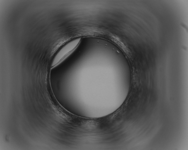 X0000091890058200709191225
