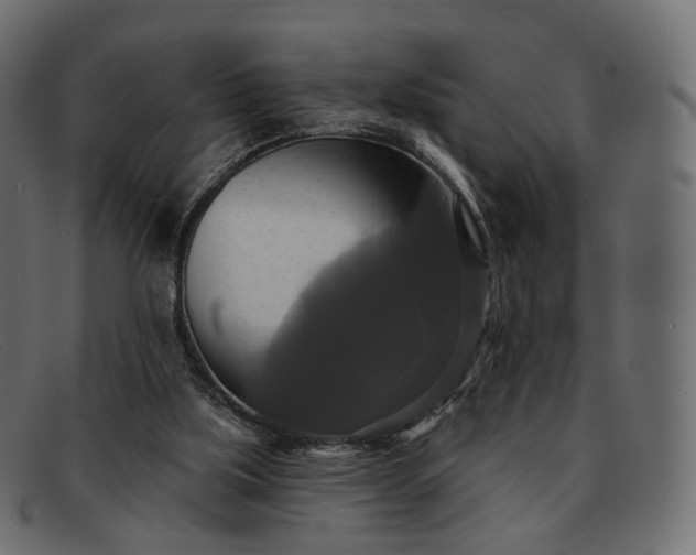 X0000091890059200709191225