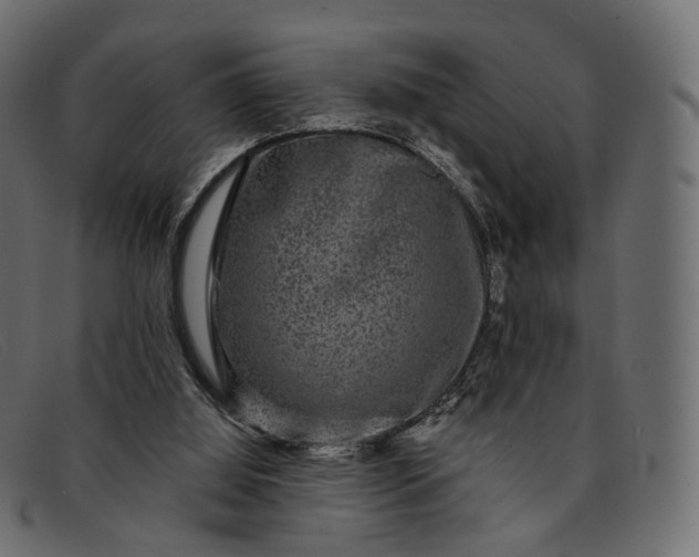 X0000091890060200709191225