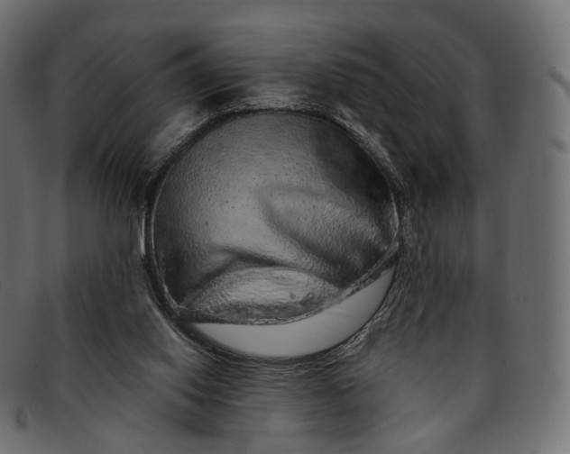 X0000091890062200709191225