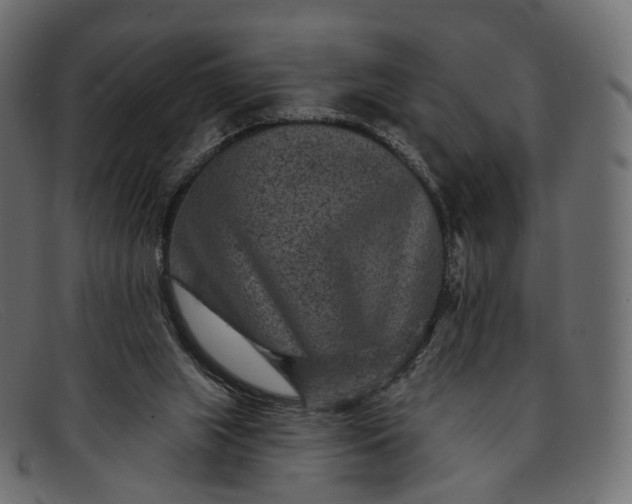 X0000091890063200709191225