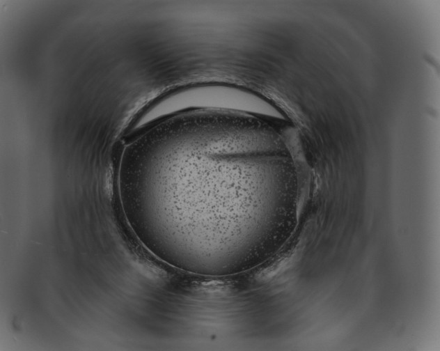 X0000091890064200709191225