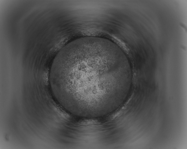 X0000091890065200709191225