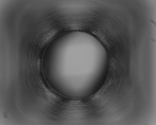 X0000091890066200709191225
