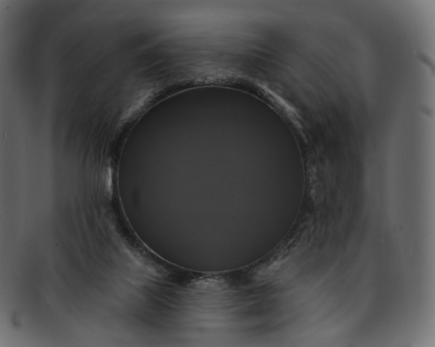 X0000091890067200709191225