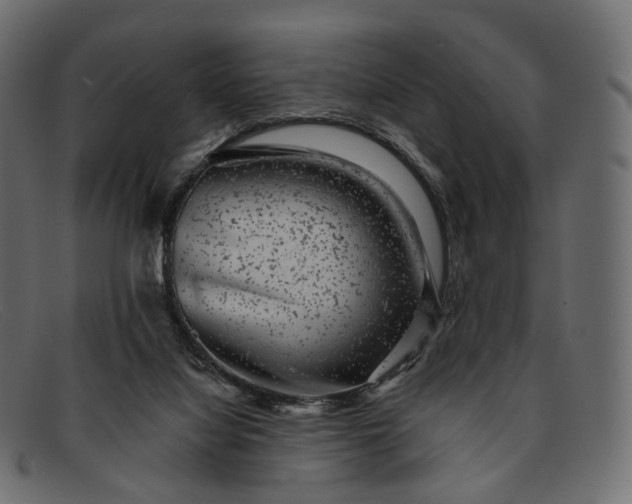 X0000091890068200709191225